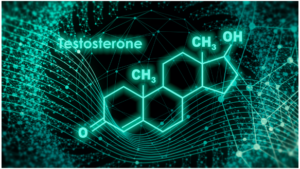 スパルトT5 口コミ