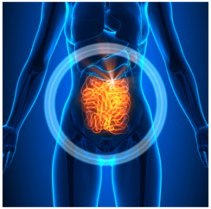 スパルトT5 口コミ