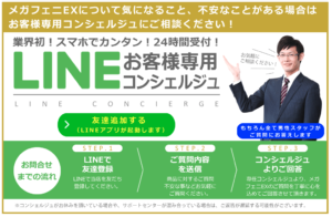 メガフェニEX　サンプル