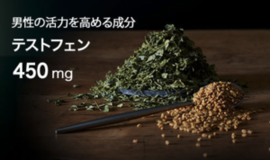 活力支援サプリ