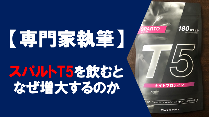 【専門的観点から解説】スパルトT5で増大する仕組み